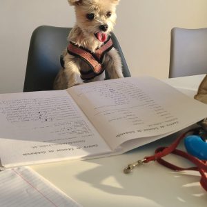 WhatsApp Image 2026-02-18 at 07.43.12 (3)